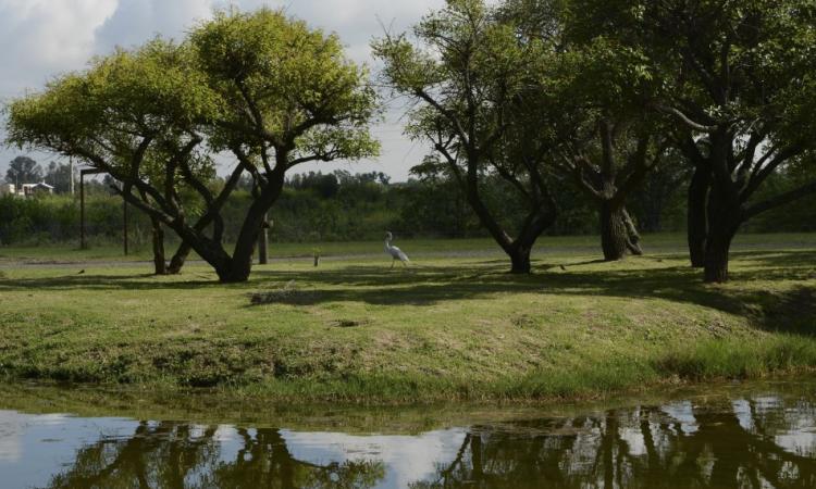 Rosario acelera su plan climático: el 77% de las acciones ya están en marcha o finalizadas