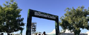 Biomercado patrio: más de 100 emprendedores, música y propuestas para toda la familia este fin de semana largo en Rosario