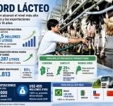 La lechería argentina vive su mejor momento en una década: producción récord y exportaciones en máximos de 14 años