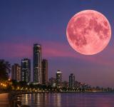 La Luna de Fresa iluminará el cielo este lunes: a qué hora y cómo verla desde Argentina