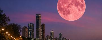 La Luna de Fresa iluminará el cielo este lunes: a qué hora y cómo verla desde Argentina