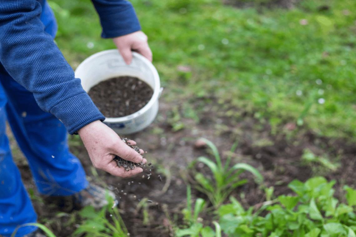 La Escuela de Jardinería abre nuevos cursos y talleres gratuitos para toda la comunidad