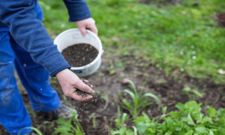 La Escuela de Jardinería abre nuevos cursos y talleres gratuitos para toda la comunidad