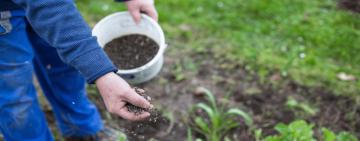 La Escuela de Jardinería abre nuevos cursos y talleres gratuitos para toda la comunidad