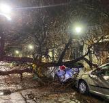 Tormenta en Rosario: múltiples intervenciones por el temporal