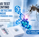 Ciencia rosarina contra el dengue: desarrollan un test rápido y económico para detectarlo temprano