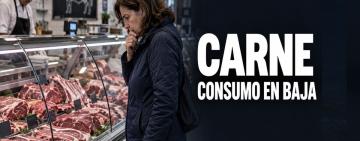 El consumo de carne vacuna cayó 9,5% y los argentinos comen casi cinco kilos menos por año
