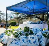 Canje de reciclables en Plaza Buratovich: qué llevar y cuándo acercarse
