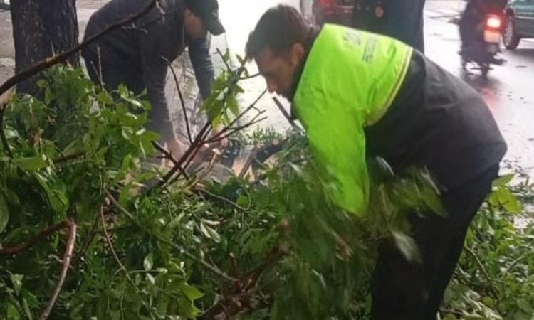 Tormentas en Rosario: reforzaron las guardias y resolvieron más de la mitad de los reclamos